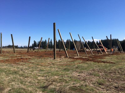 80x120 Arena under construction