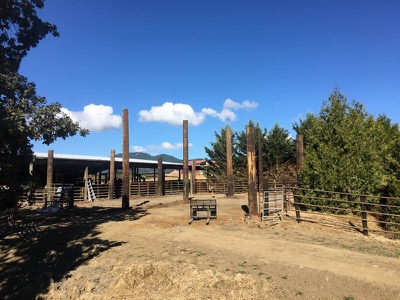 Large barn under construction using reclaimed telephone poles
