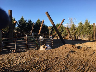 Large barn under construction using reclaimed telephone poles